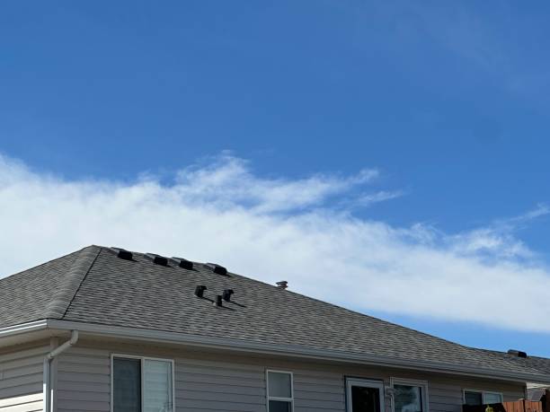 Best Roof Insulation Installation  in West Milton, OH
